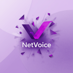 NetVoice Logo